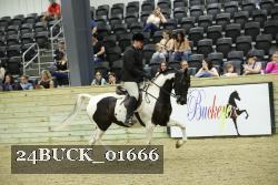 24BUCK_01666 proof
