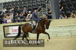24BUCK_01667 proof