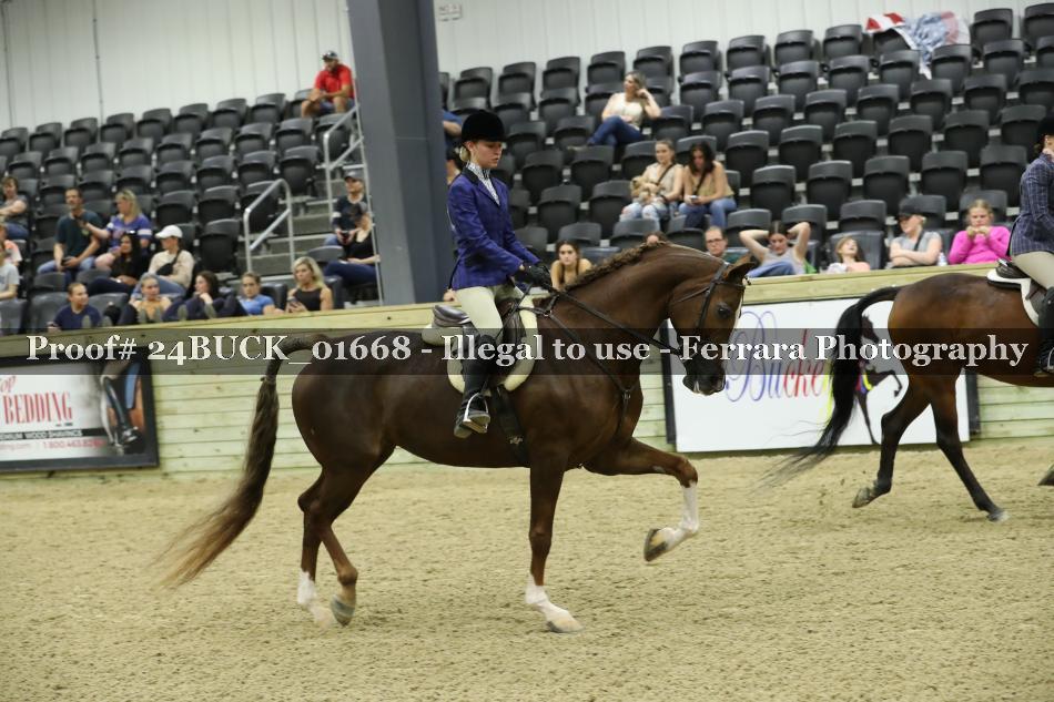 Proof 24BUCK_01668