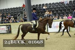 24BUCK_01668 proof