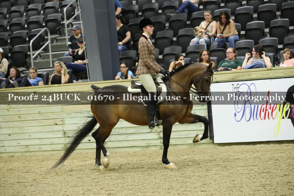 Proof 24BUCK_01670