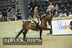 24BUCK_01670 proof