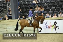 24BUCK_01672 proof