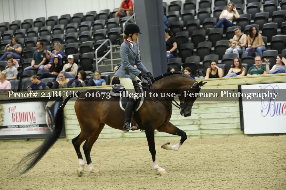 Proof 24BUCK_01673