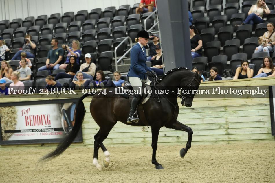 Proof 24BUCK_01674