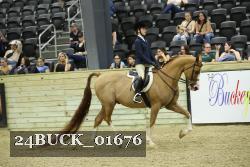 24BUCK_01676 proof