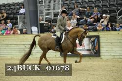 24BUCK_01678 proof