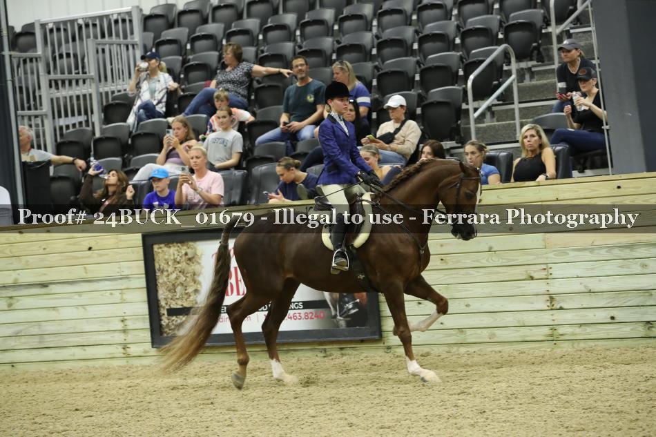 Proof 24BUCK_01679