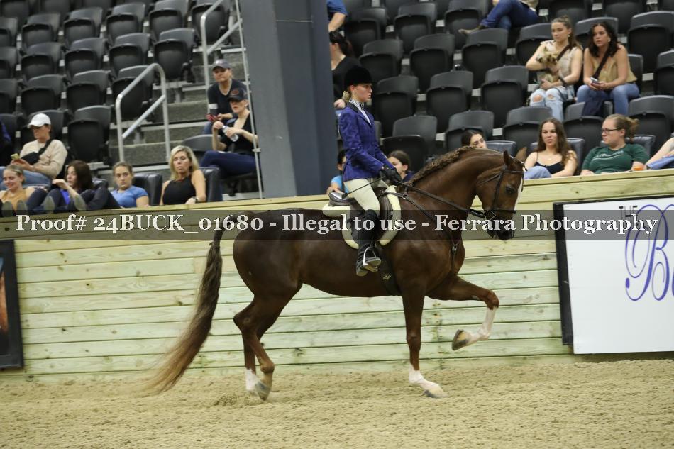Proof 24BUCK_01680