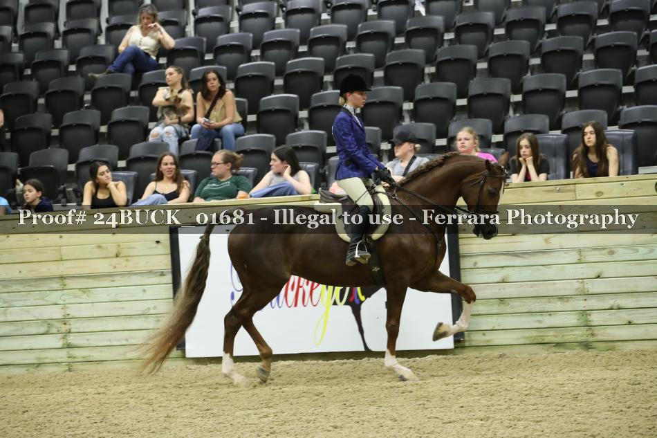 Proof 24BUCK_01681