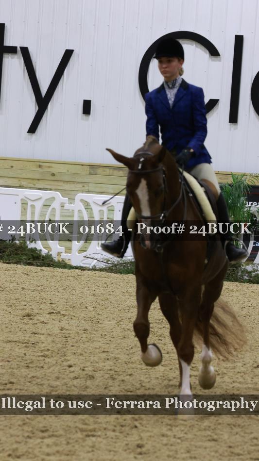 Proof 24BUCK_01684