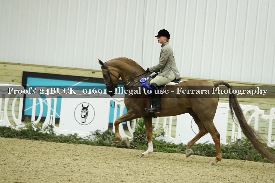 Proof 24BUCK_01691