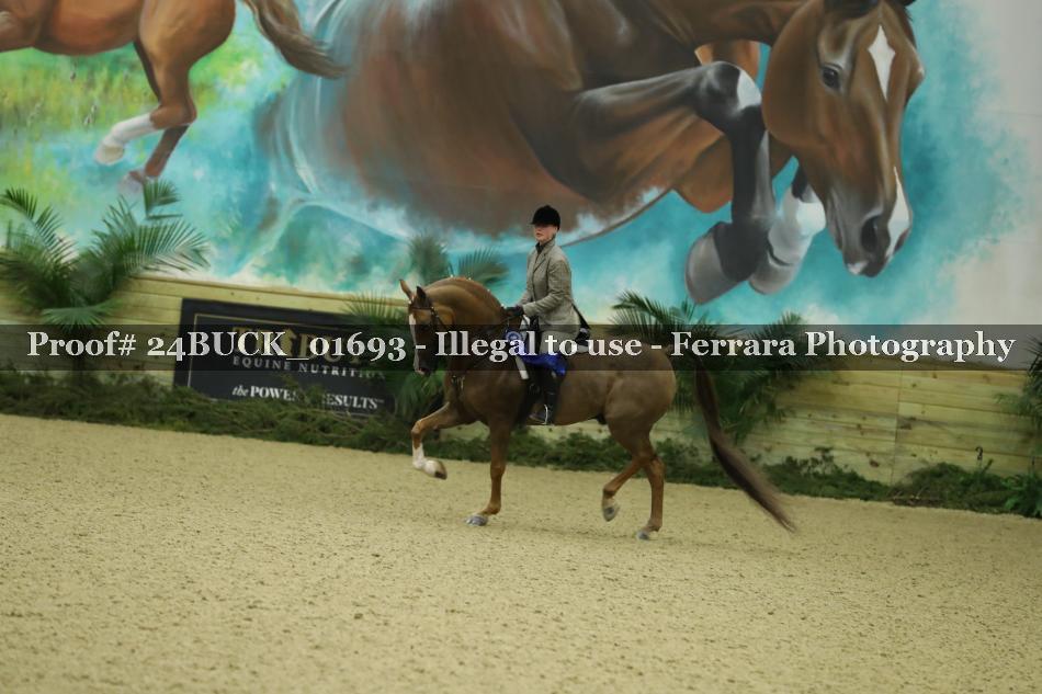 Proof 24BUCK_01693