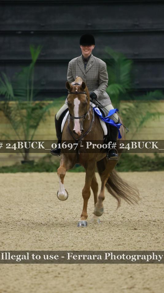 Proof 24BUCK_01697