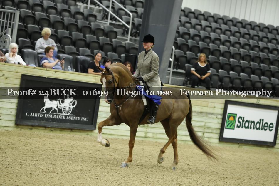 Proof 24BUCK_01699