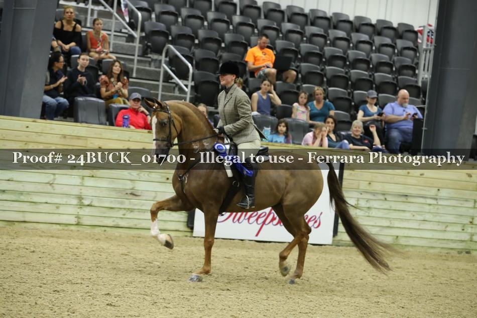 Proof 24BUCK_01700