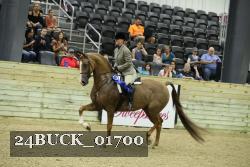 24BUCK_01700 proof