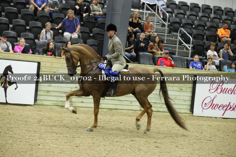 Proof 24BUCK_01702
