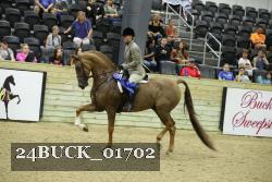 24BUCK_01702 proof