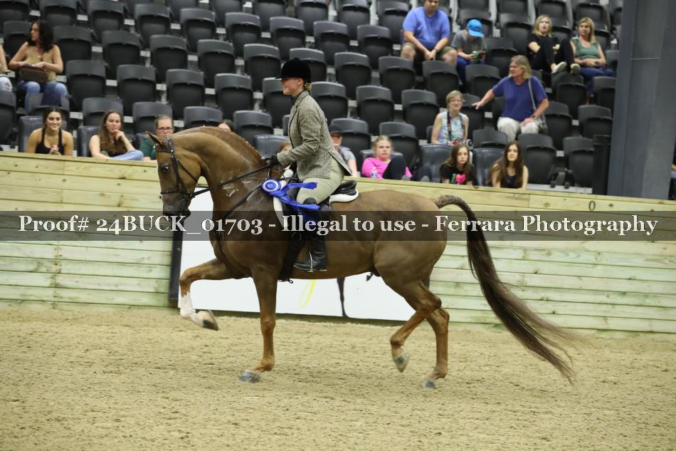 Proof 24BUCK_01703