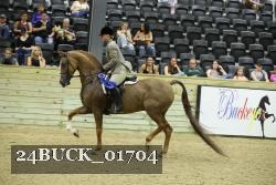 24BUCK_01704 proof