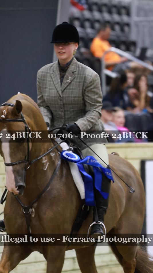 Proof 24BUCK_01706