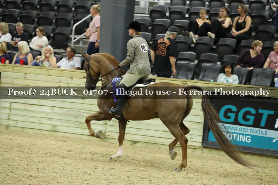 Proof 24BUCK_01707