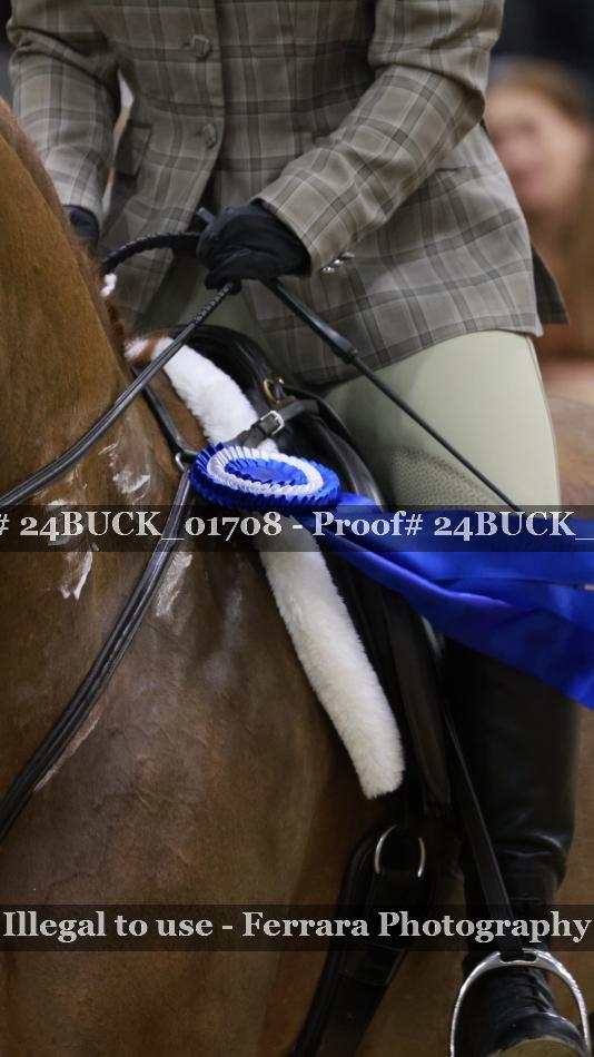 Proof 24BUCK_01708