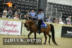 24BUCK_01736 proof
