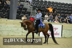 24BUCK_01738 proof