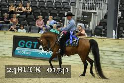 24BUCK_01741 proof