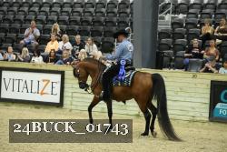 24BUCK_01743 proof