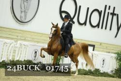 24BUCK_01745 proof