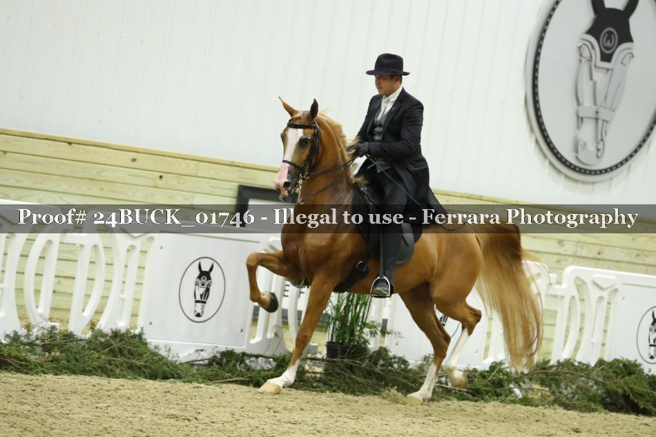 Proof 24BUCK_01746
