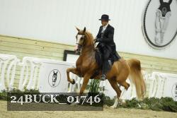 24BUCK_01746 proof
