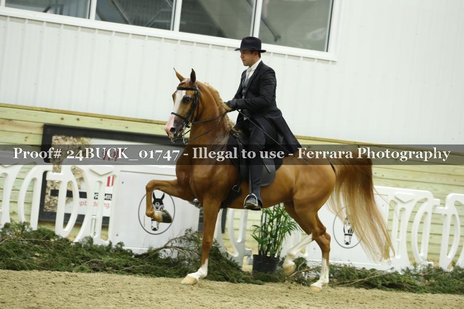 Proof 24BUCK_01747