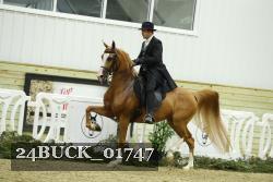 24BUCK_01747 proof