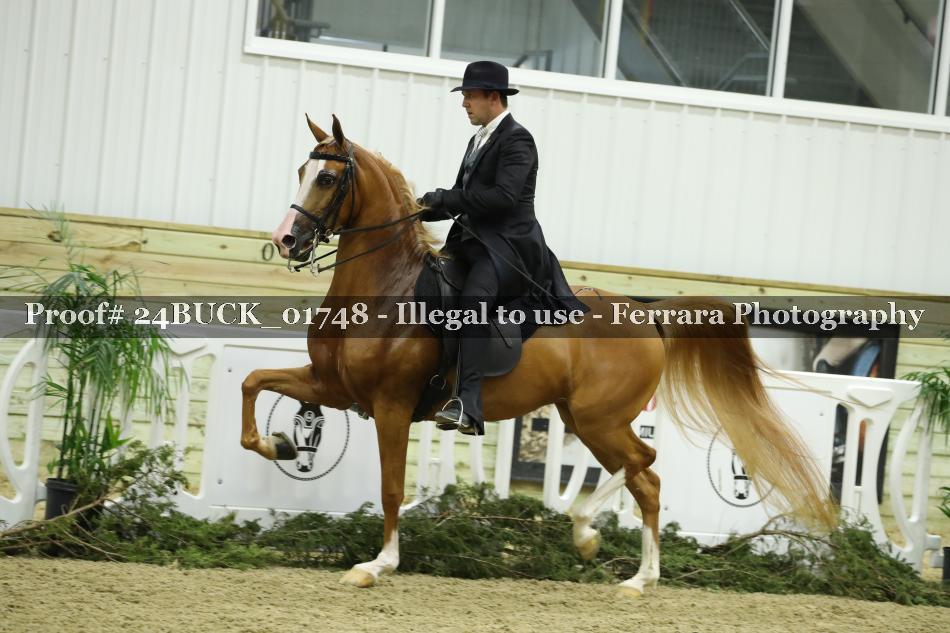 Proof 24BUCK_01748