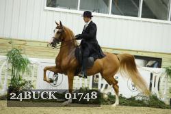 24BUCK_01748 proof