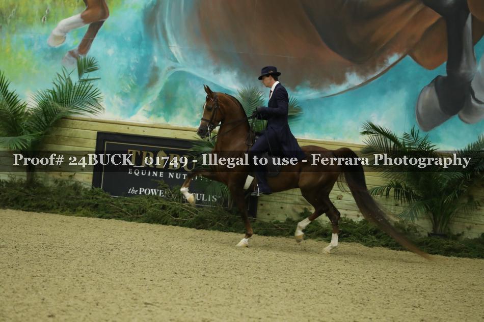 Proof 24BUCK_01749
