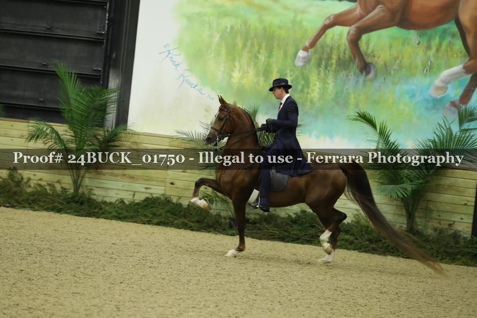 Proof 24BUCK_01750