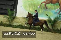 24BUCK_01750 proof