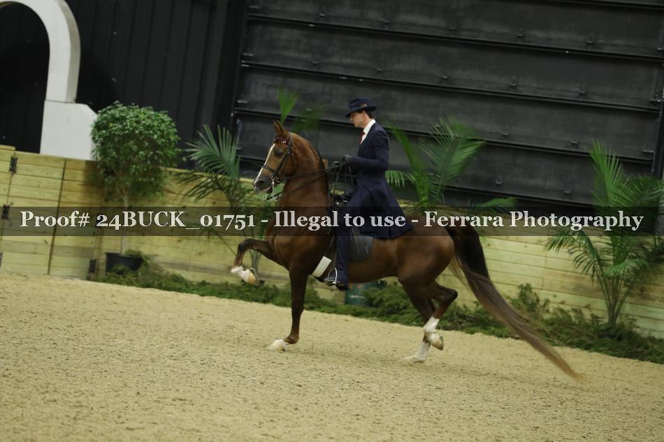 Proof 24BUCK_01751