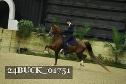 24BUCK_01751 proof