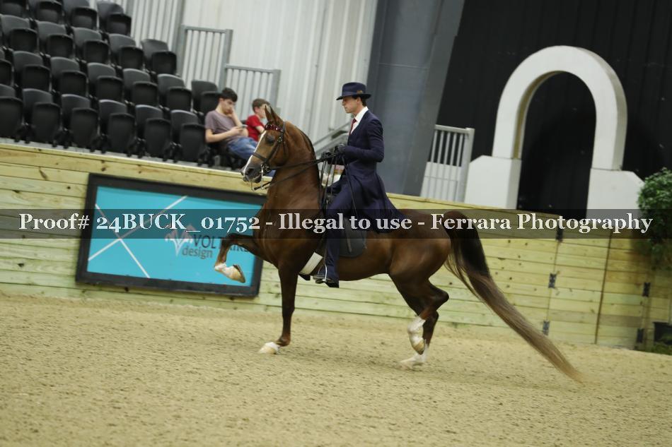 Proof 24BUCK_01752