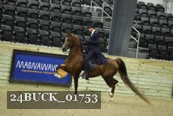 24BUCK_01753 proof