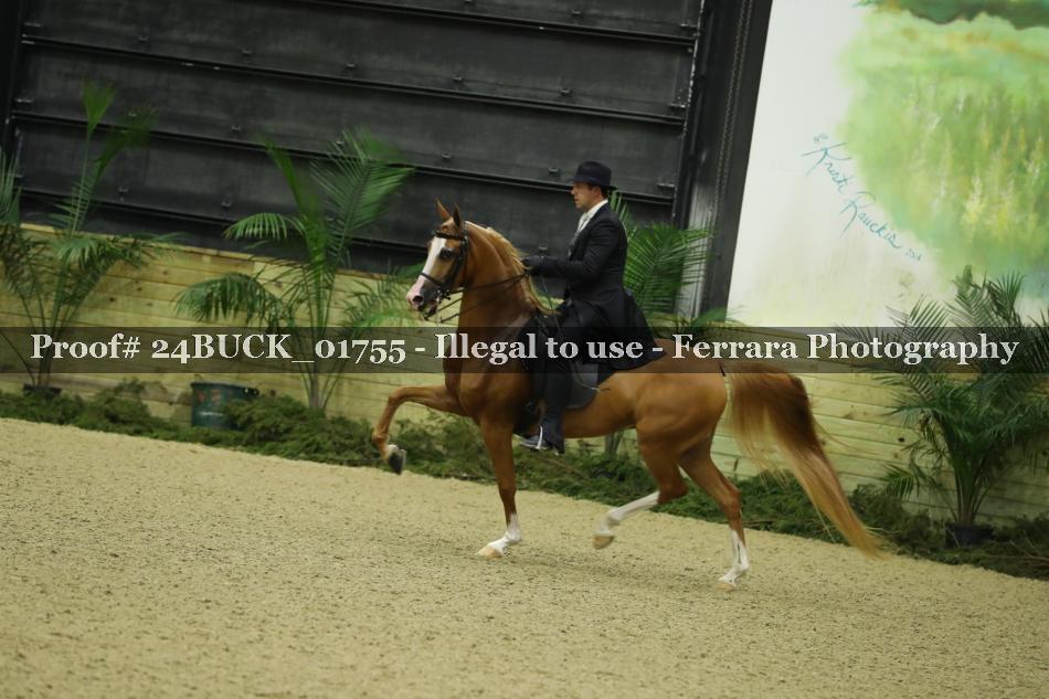 Proof 24BUCK_01755