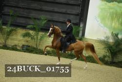 24BUCK_01755 proof