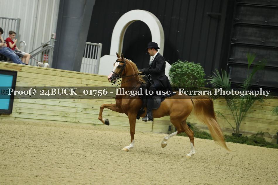Proof 24BUCK_01756