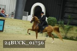 24BUCK_01756 proof